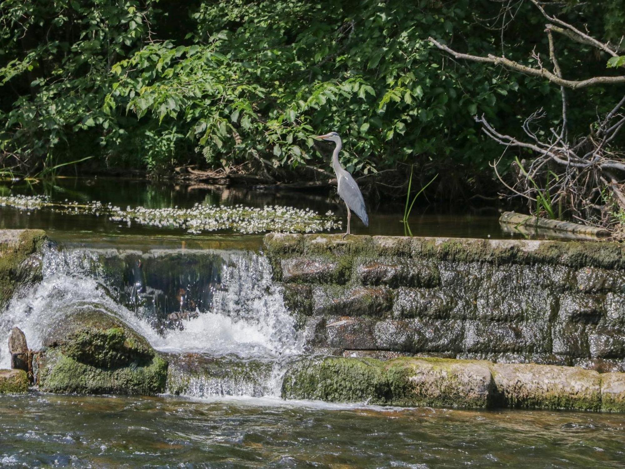 21 Eamont Park Villa Penrith Luaran gambar